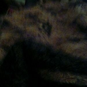 Meet your Posher, Ivan